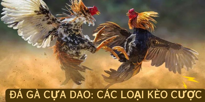 Các hình thức cược của đá gà cựa dao