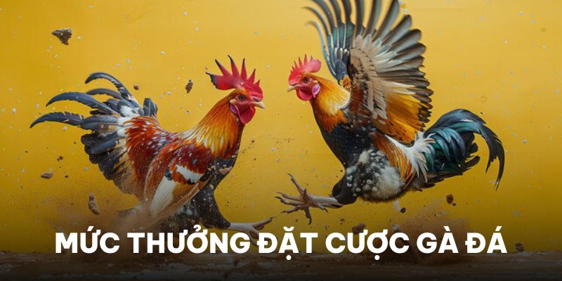 FTD thu hút sự quan tâm của người chơi thì mức thưởng cao